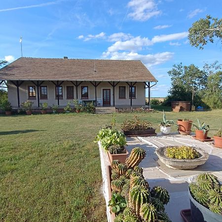 Apartament Napkelte Vendeghaz Segedyn Zewnętrze zdjęcie